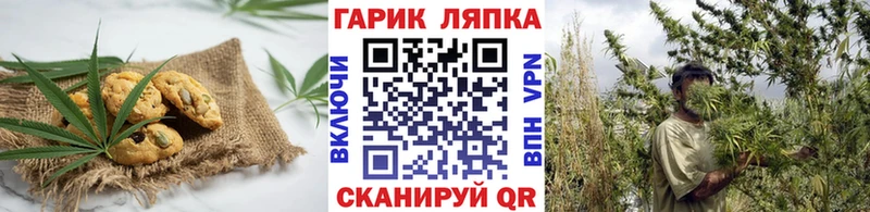 как найти закладки  Дзержинск  Canna-Cookies марихуана 