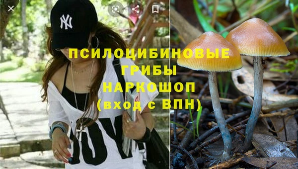 метадон Аркадак