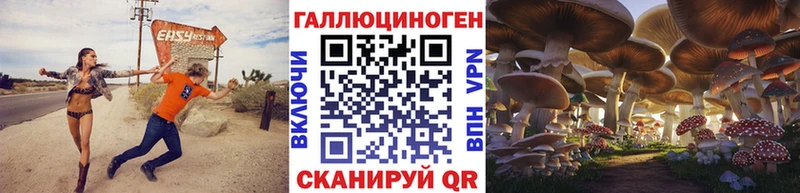 купить наркоту  Дзержинск  Галлюциногенные грибы Psilocybine cubensis 